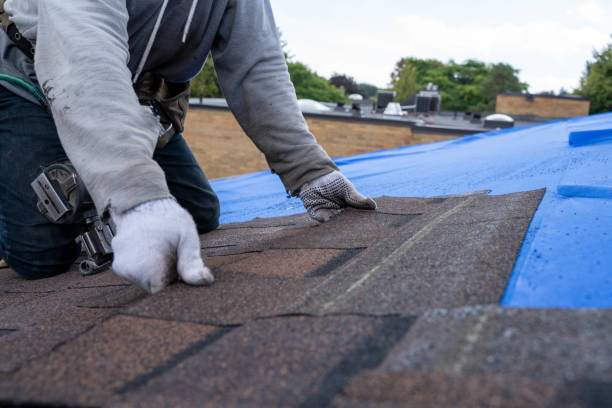Best Roof Maintenance Services  in Redan, GA